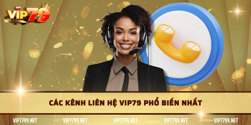 Các kênh liên hệ VIP79 phổ biến nhất