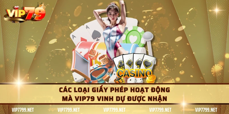 Các loại giấy phép hoạt động mà VIP79 vinh dự được nhận