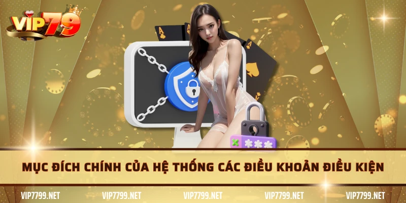 Mục đích chính của hệ thống các điều khoản điều kiện