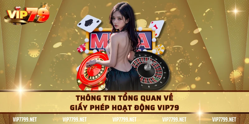 Thông tin tổng quan về giấy phép hoạt động VIP79
